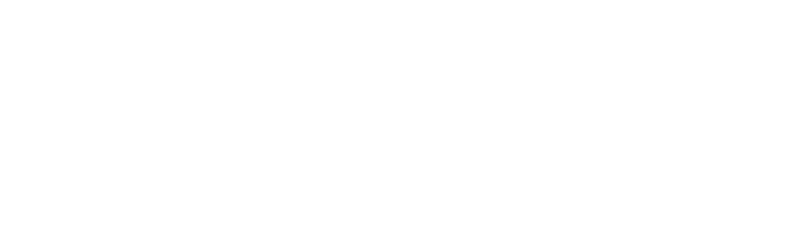 Snowsig Technologies